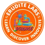 Erudite Labs - Brand Logo